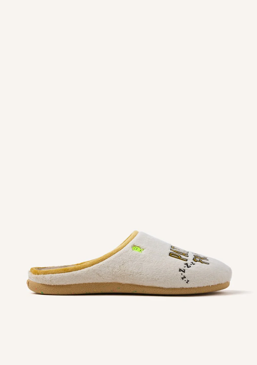 FUR HOUSE SLIPPERS DRAWING AND PHRASE NEWAYGO